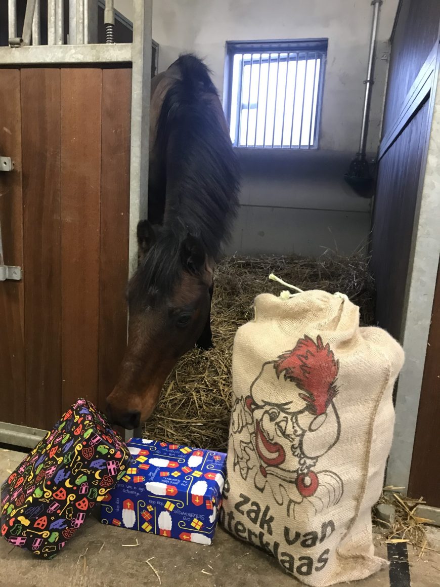 SINTERKLAASFEEST!